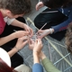 Teamentwicklung